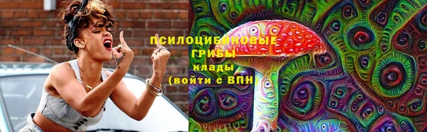 mdpv Володарск